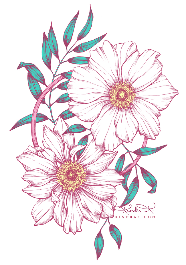 anemone illustration