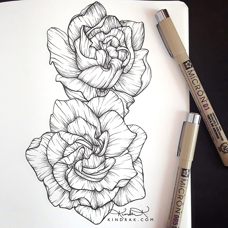 gardenia sketchbook